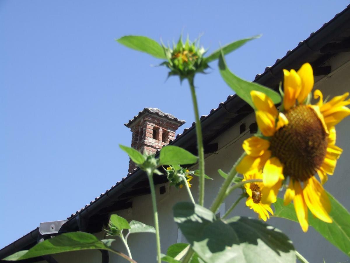 La Meridiana, Monolocale In Cascina Ristrutturata Boves ภายนอก รูปภาพ